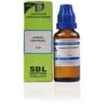 Buy SBL Verbena Officinalis - 30 ml