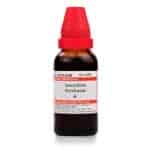 Buy Schwabe Homeopathy Anacardium occidentale MT