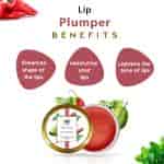 Seer Secret Raw Mango Paprika & Mint Lip Plumper For Chapped Lips