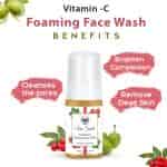 Seer Secret Rosehip And Kakadu Plum Vitamin C & 5% Niacinamide Foaming Face Wash