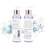 Seer Secrets Sage Apothecary Body Wash Lavender And Mint