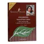 Buy Shahnaz Husain Colourveda Natural Hair Colour - 100 gm