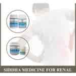 Buy Bogar Shidha Package for Renal Diseases