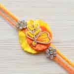 Strands Marigold Inspired Saffron and Yellow Rakhi Set for Brother