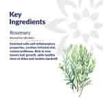 The FIG Rosemary Essential Oil For Skin & Hair 100% Natural & Pure Therapeutic Grade Fights Signs Of Ageing