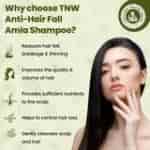 The Natural Wash Amla Shampoo Anti Hair Fall Shampoo with Natural Ingredients