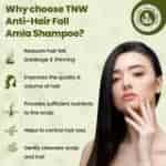 The Natural Wash Amla Shampoo Anti Hair Fall Shampoo with Natural Ingredients