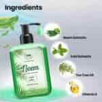 The Natural Wash Neem Hand Wash Paraben Sulphate Free