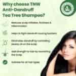 The Natural Wash Tea Tree Shampoo Anti Dandruff Shampoo with Natural Ingredients