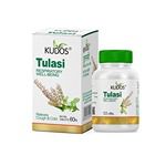 Buy Kudos Ayurveda Tulsi Tablets