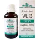 Buy Wheezal WL - 13 Glandula Drops