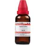 Buy Willmar Schwabe India Agnus Castus - 30 ml