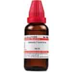 Buy Willmar Schwabe India Alstonia Constricta - 30 ml