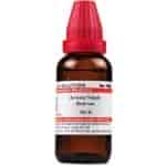 Buy Willmar Schwabe India Arsenic Sulphuratum Rubrum - 30 ml