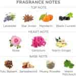Yardley London Elegance Deodorizing Talc for Men
